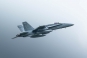 McDonnell Douglas F-18C Hornet